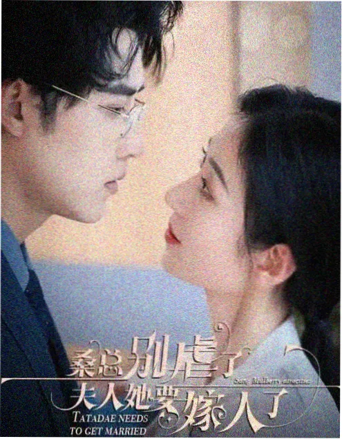 动作剧集推荐 暗线追凶 海报